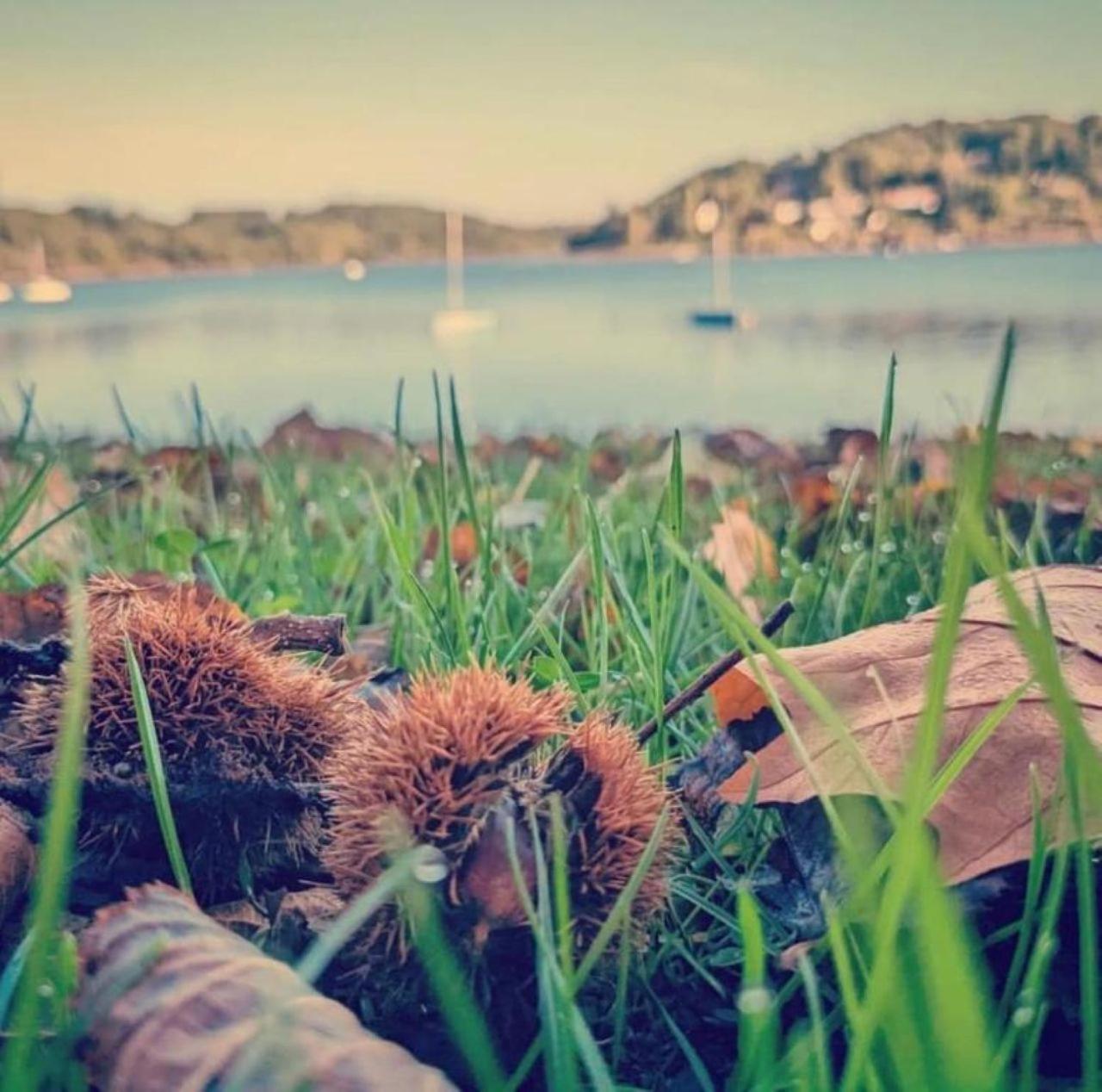 Studio Au Bord Du Lac D'Eguzon Екстериор снимка